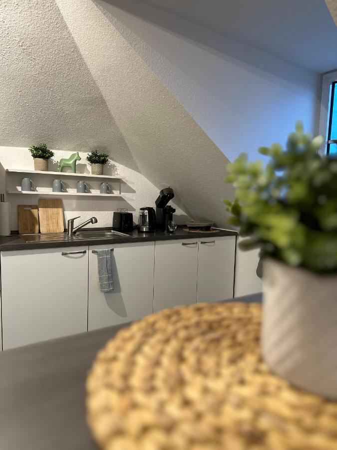 Oasis Appart - Wohnen Am Elbtal - Balkon - Netflix - Tiefgarage Дрезден Екстер'єр фото