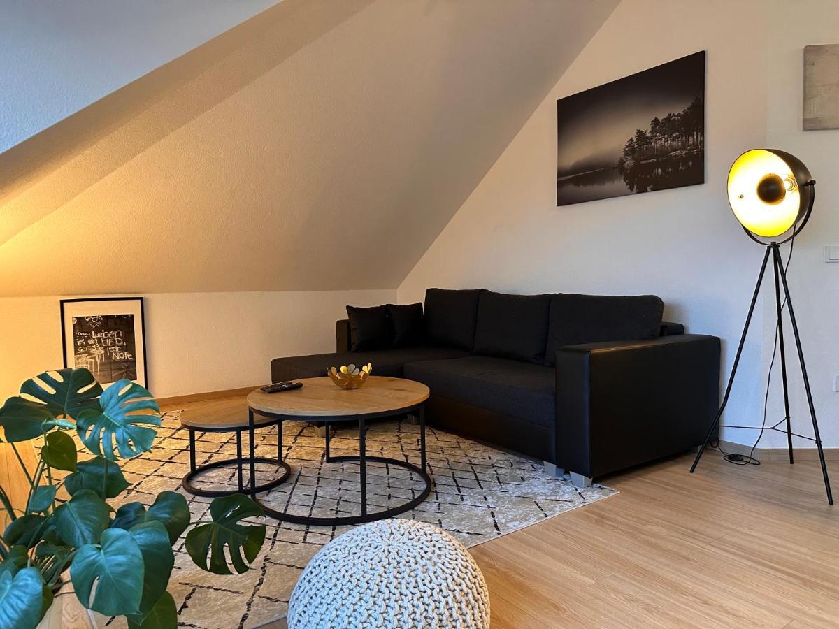 Oasis Appart - Wohnen Am Elbtal - Balkon - Netflix - Tiefgarage Дрезден Екстер'єр фото