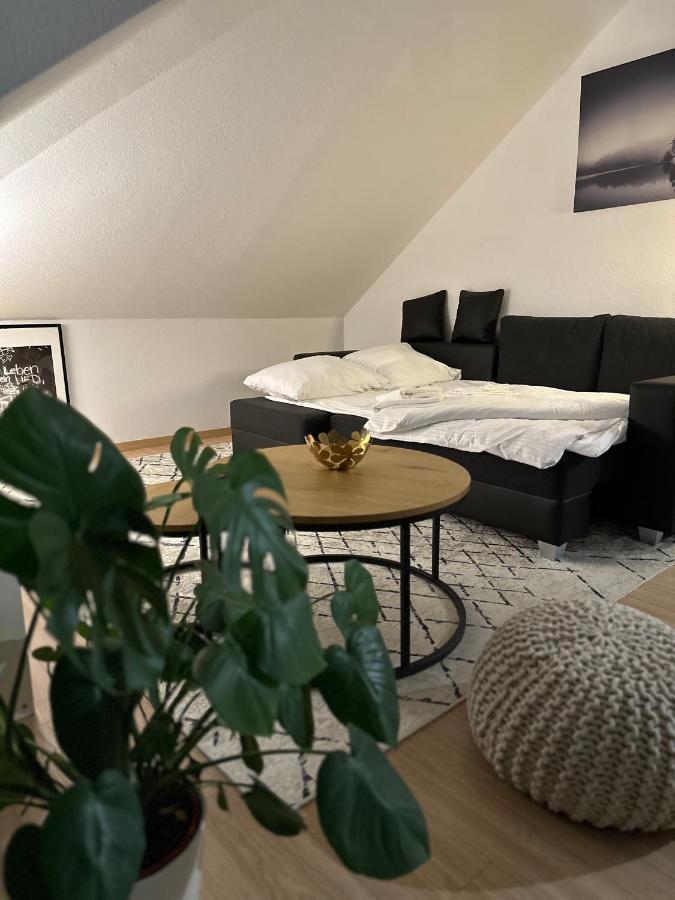 Oasis Appart - Wohnen Am Elbtal - Balkon - Netflix - Tiefgarage Дрезден Екстер'єр фото